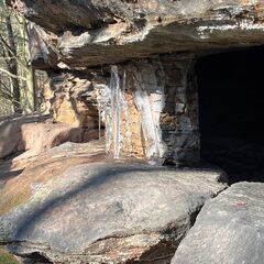 23-03-01 10-54-02 4493